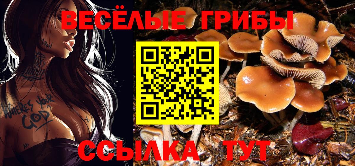 Галлюциногенные грибы мицелий Новодвинск