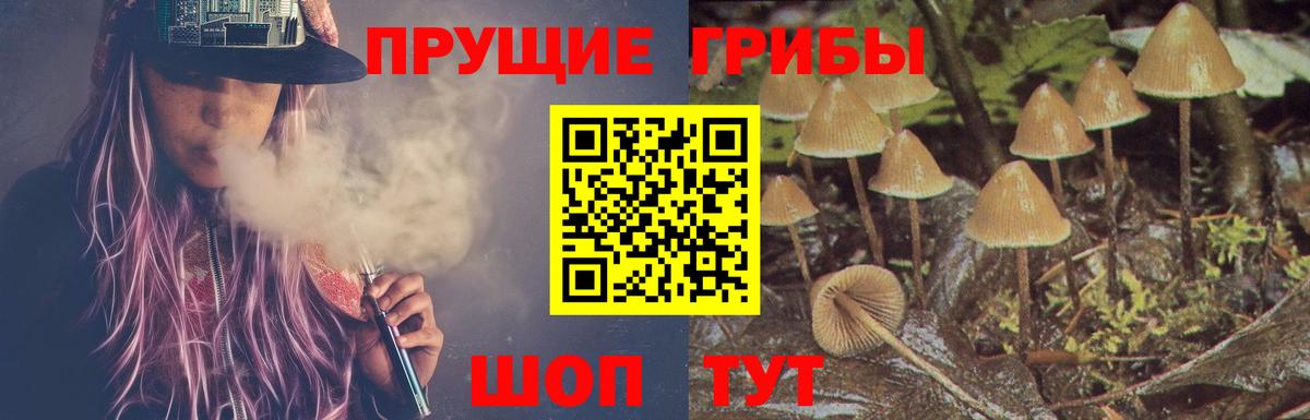Новодвинск  Псилоцибиновые грибы прущие грибы  Вход с VPN 